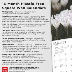 BrownTrout 2025 Mountain Wildflowers 12