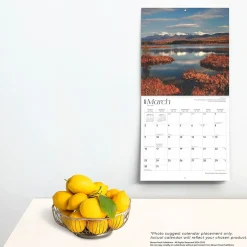 BrownTrout 2025 New Hampshire Wild & Scenic 12