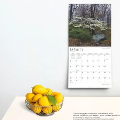 BrownTrout 2025 New York Wild & Scenic 12