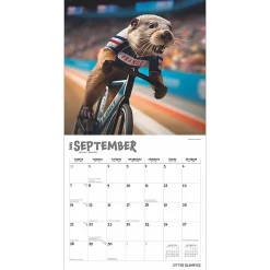 BrownTrout 2025 Otter Olympics 12