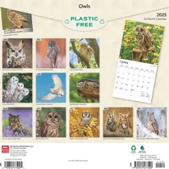 BrownTrout 2025 Owls 12" x 12" Monthly Wall Calendar (9781975477509) Hot