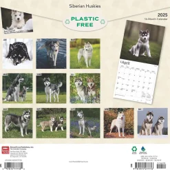 BrownTrout 2025 Siberian Huskies 12" x 24" Monthly Square Wall Calendar (9781975477776) Hot