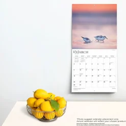 BrownTrout 2025 Simplicity 12