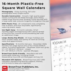 BrownTrout 2025 Simplicity 12