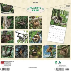 BrownTrout 2025 Sloths 12" x 12" Monthly Square Wall Calendar (9781975475703) Discount
