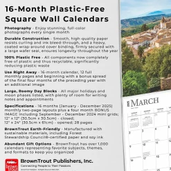 BrownTrout 2025 Spain 12