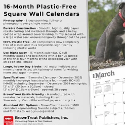 BrownTrout 2025 Staffordshire Bull Terriers Puppies 12