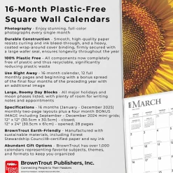 BrownTrout 2025 Sunflowers 12