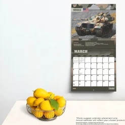 BrownTrout 2025 Tanks of the World 12