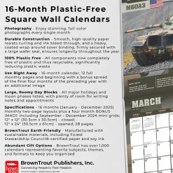 BrownTrout 2025 Tanks of the World 12