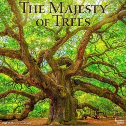 BrownTrout 2025 The Majesty of Trees 12" x 12" Monthly Square Wall Calendar (9781975477394) New