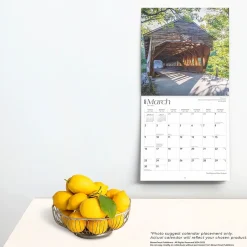 BrownTrout 2025 The Majesty of New England 12