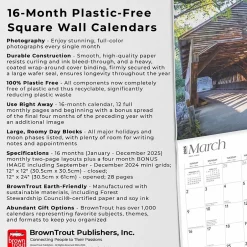 BrownTrout 2025 The Majesty of New England 12