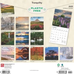 BrownTrout 2025 Tranquility 12" x 12" Monthly Square Wall Calendar (9781975477882) Discount