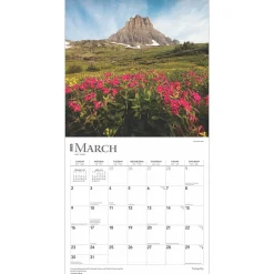 BrownTrout 2025 Tranquility 12