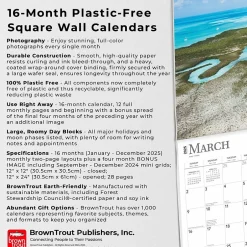 BrownTrout 2025 Tropical Islands 12