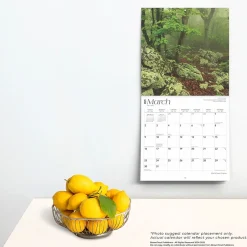 BrownTrout 2025 Virginia Wild & Scenic 12