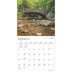 BrownTrout 2025 Washington D.C. 12