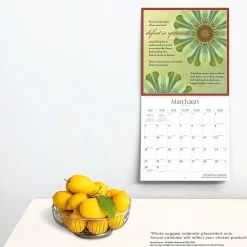 BrownTrout 2025 Brush Dance A Fearless Woman 12