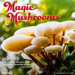Brush Dance 2025 Magic Mushrooms 12" x 12" Monthly Square Wall Calendar (9781975478698) Best