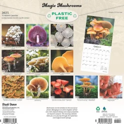 Brush Dance 2025 Magic Mushrooms 12" x 12" Monthly Square Wall Calendar (9781975478698) Best