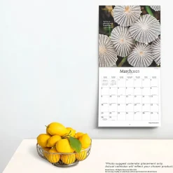 Brush Dance 2025 Magic Mushrooms 12