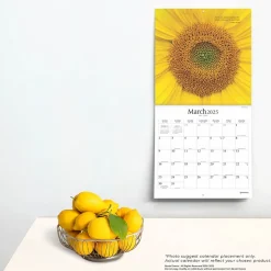 BrownTrout 2025 Brush Dance Symmetry 12