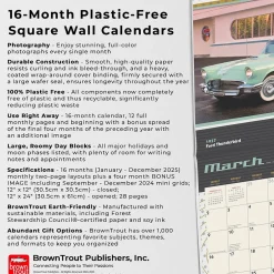 BrownTrout 2025 Motor Club Dream Cars 12