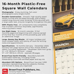 BrownTrout 2025 Motor Club Supercars 12