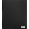 Staples 2025 7" x 9" Weekly & Monthly Appointment Book, Assorted Colors (ST58447-25) Hot