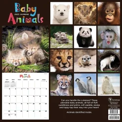 TF Publishing 2025 12" x 12" Baby Animals Wall Calendar (25-1000) Hot