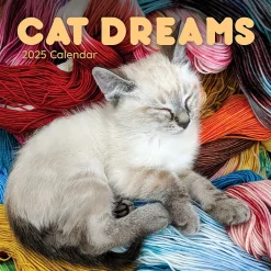 TF Publishing 2025 12" x 12" Cat Dreams Wall Calendar (25-1003) Clearance