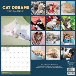 TF Publishing 2025 12" x 12" Cat Dreams Wall Calendar (25-1003) Clearance