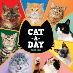 TF Publishing 2025 12" x 12" Cat-A-Day Wall Calendar (25-1002) Outlet