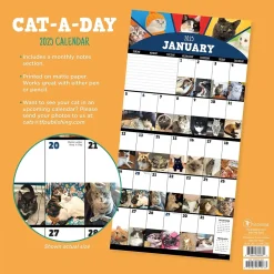 TF Publishing 2025 12" x 12" Cat-A-Day Wall Calendar (25-1002) Outlet