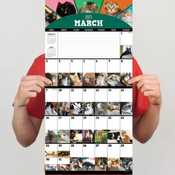 TF Publishing 2025 12