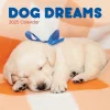 TF Publishing 2025 12" x 12" Dog Dreams Wall Calendar (25-1010) New