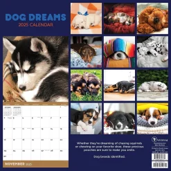 TF Publishing 2025 12" x 12" Dog Dreams Wall Calendar (25-1010) New