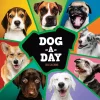 TF Publishing 2025 12" x 12" Dog-A-Day Wall Calendar (25-1009) Hot