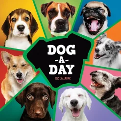 TF Publishing 2025 12" x 12" Dog-A-Day Wall Calendar (25-1009) Hot