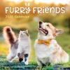 TF Publishing 2025 12" x 12" Furry Friends Wall Calendar (25-1011)