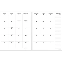 TF Publishing 2025 9" x 11" Monthly Planner, Paperboard Cover, Color Swoops (25-4702) Discount