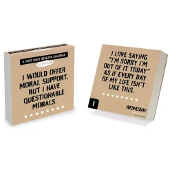 TF Publishing 2025 Anti Affirmations 5.25" x 5.25" Day-to-Day Calendar (25-3000) New