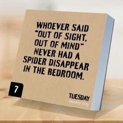 TF Publishing 2025 Anti Affirmations 5.25