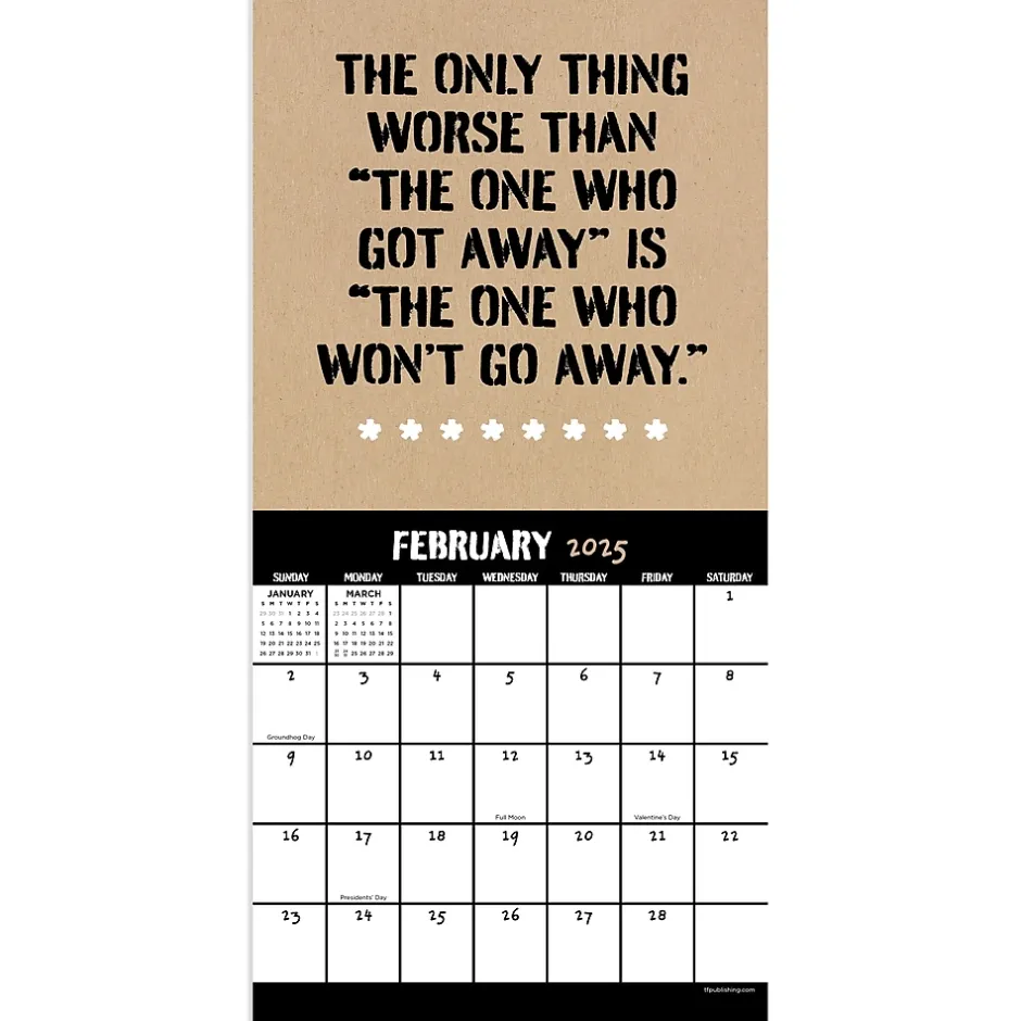 TF Publishing 2025 Anti-Affirmations & Sarcasm 7" x 7" Monthly Wall Calendar (25-2100) Outlet