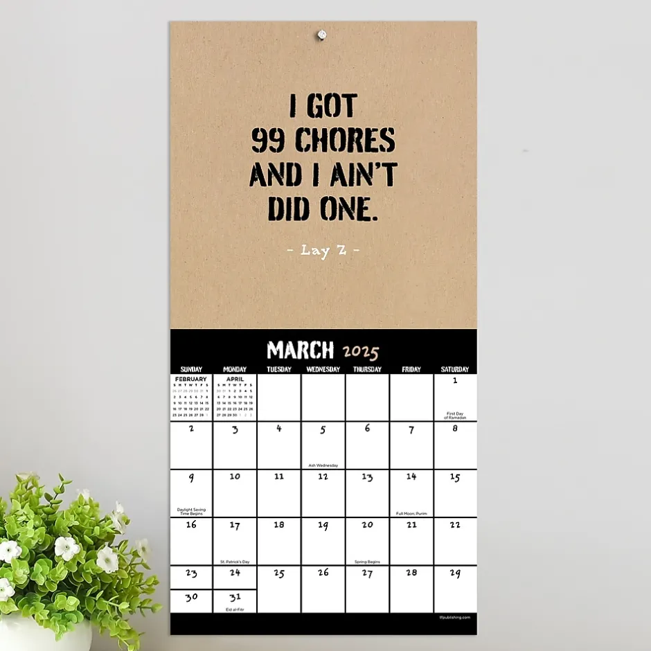 TF Publishing 2025 Anti-Affirmations & Sarcasm 7" x 7" Monthly Wall Calendar (25-2100) Outlet