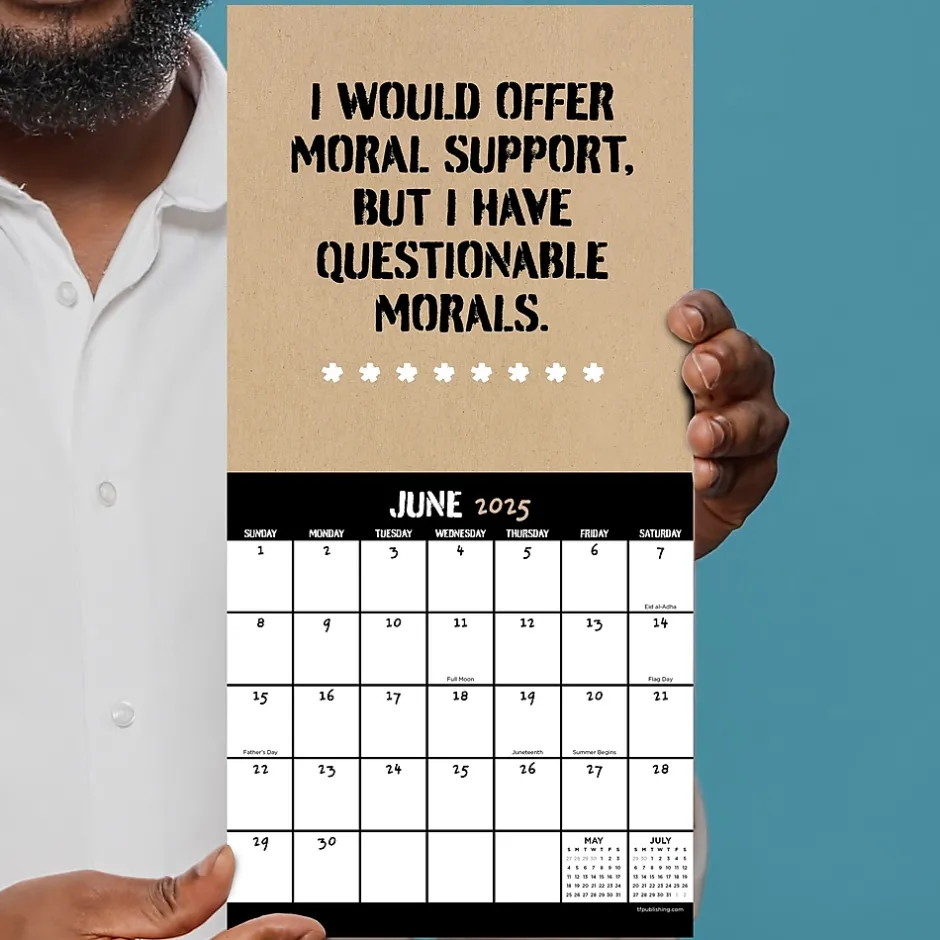 TF Publishing 2025 Anti-Affirmations & Sarcasm 7" x 7" Monthly Wall Calendar (25-2100) Outlet