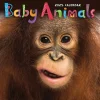 TF Publishing 2025 Baby Animals 7" x 7" Monthly Wall Calendar (25-2000) Best