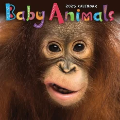 TF Publishing 2025 Baby Animals 7" x 7" Monthly Wall Calendar (25-2000) Best