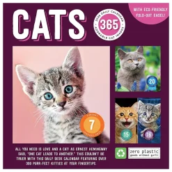 TF Publishing 2025 Cat A Day 5.25" x 5.25" Day-to-Day Calendar (25-3002) Discount